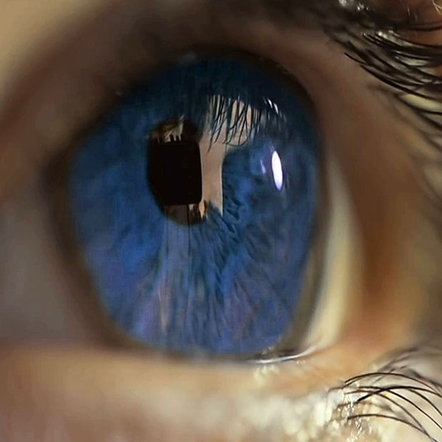 Germs Can Infiltrate the Body Via the Eyes Grantsville UT Spectrum Eye Care